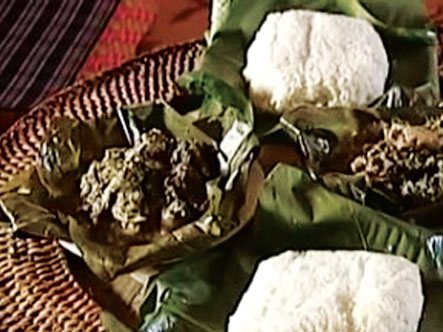 Gà mọ linh hồn tây bắc - chăn nuôi