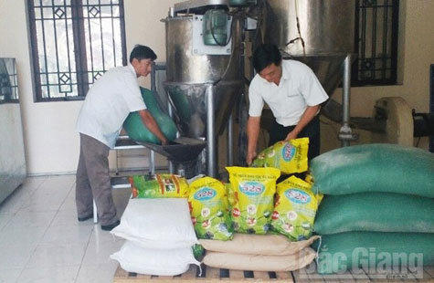 tận dụng phụ phẩm chăn nuôi: an toàn, tiết kiệm chi phí - chăn nuôi