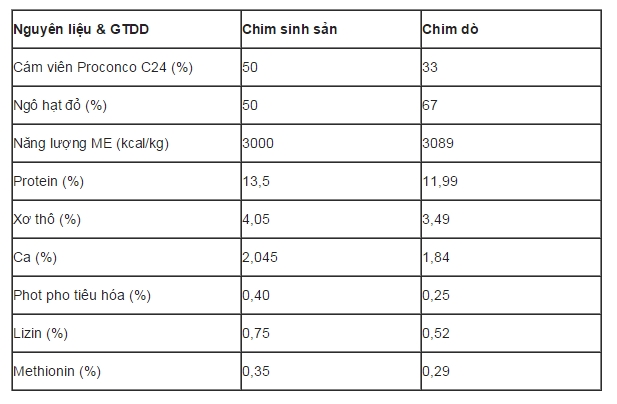 tăng chất lượng thịt bồ câu Pháp