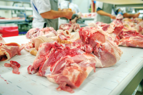 Ngành thịt heo Thái Lan đang phải đối diện với nhiều áp lực Ảnh: Kneb.com