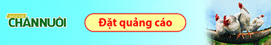 QC Nguoi Chan nuoi