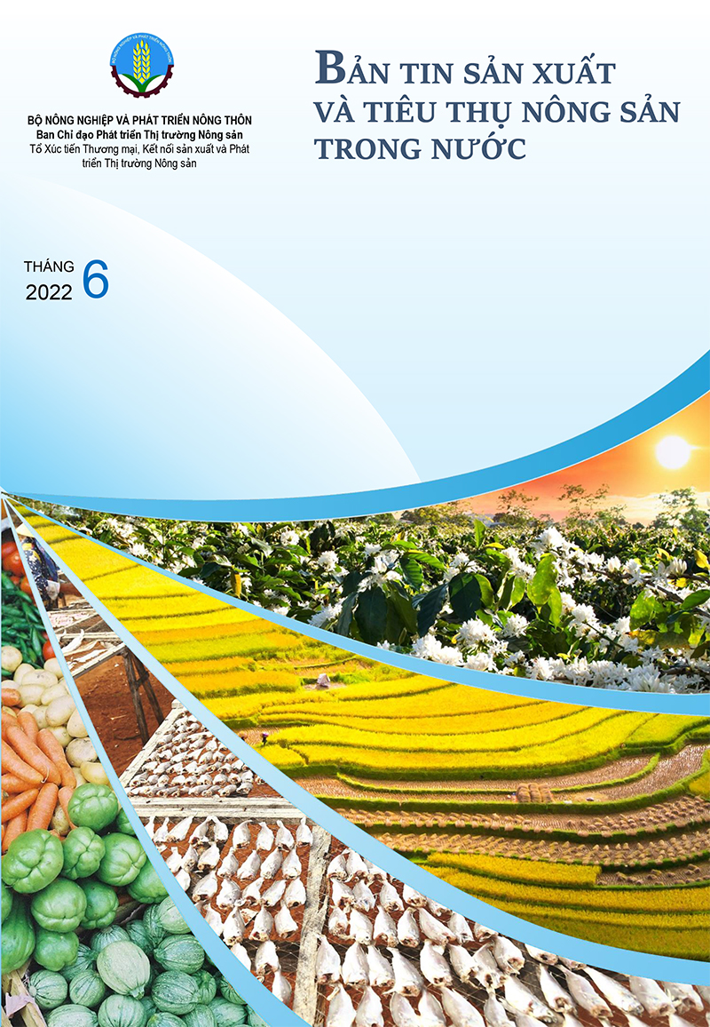 Bản tin thị trường nông sản tháng 6 - 2022