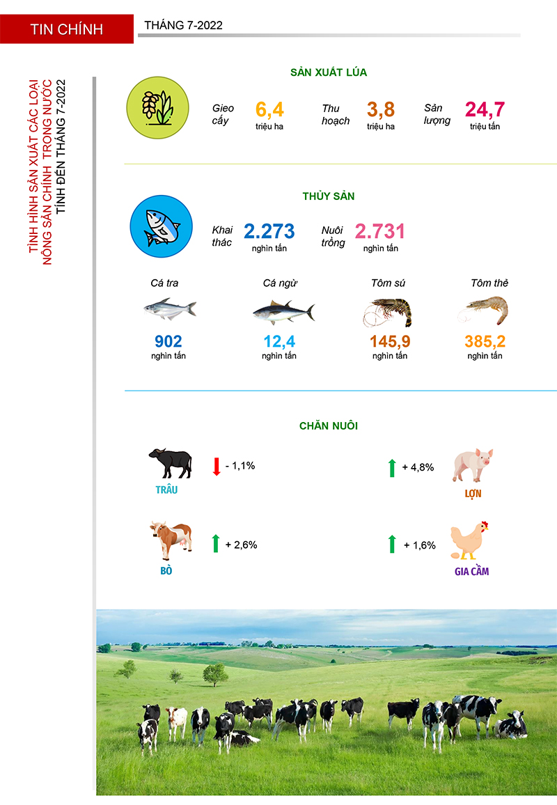 Bản tin nông sản tháng 8 - 2022