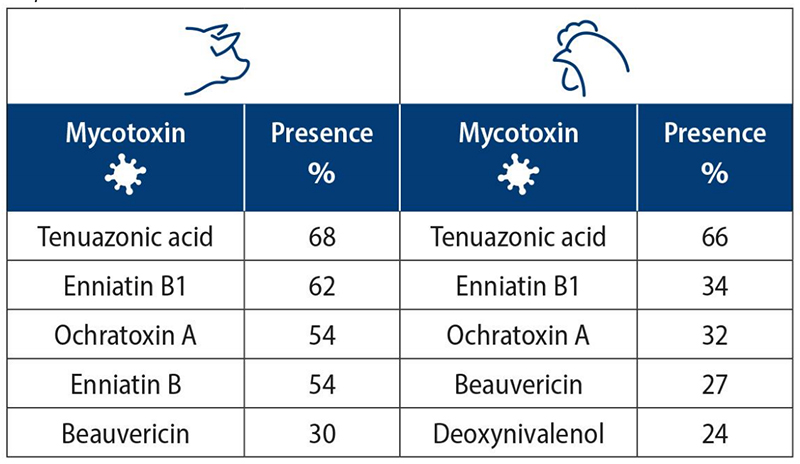 độc tố nấm mốc