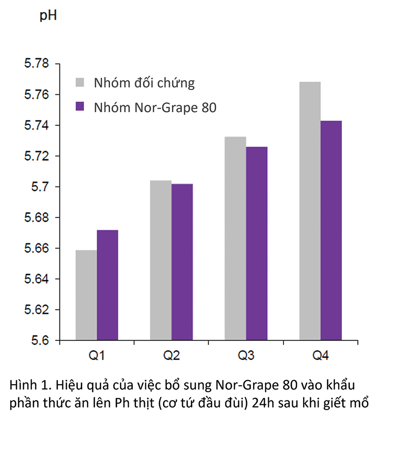 hiệu quả bổ sung nor-grape 80