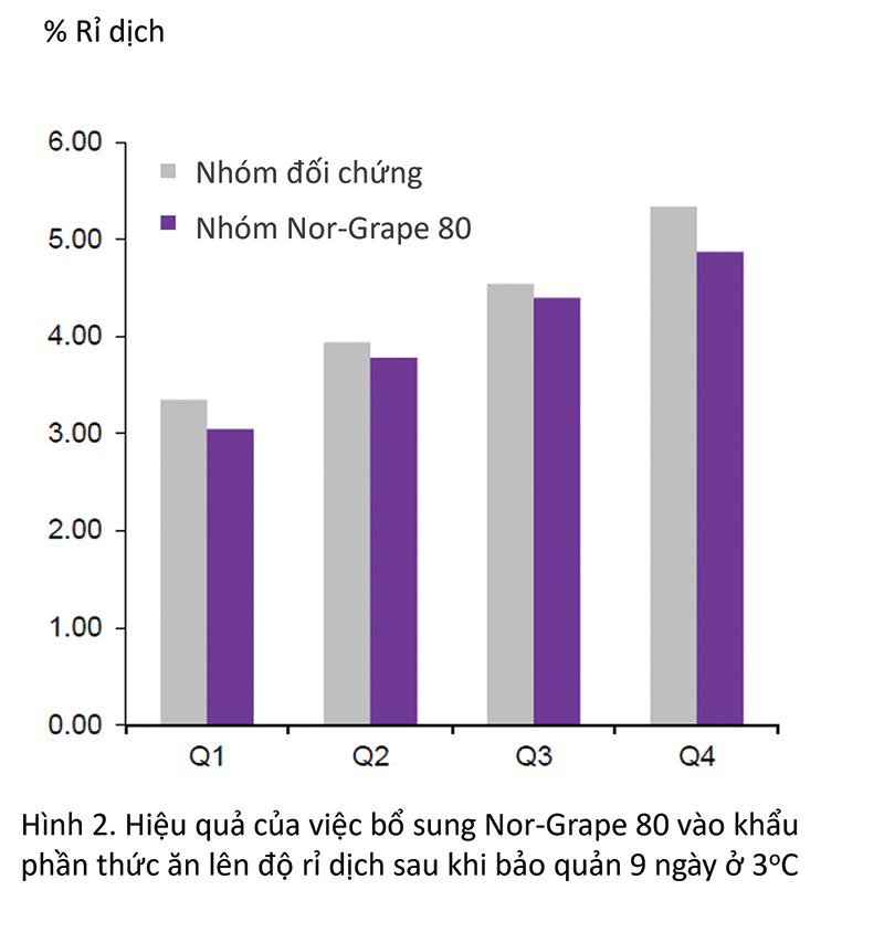 hiệu quả của việc bổ sung nor-grape 80