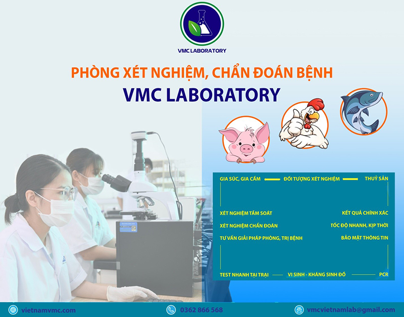 VMC laboratory