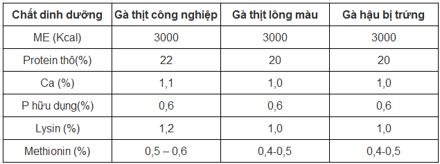 chế độ dinh dưỡng gà con