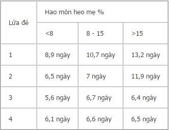 nuôi heo nái sinh sản