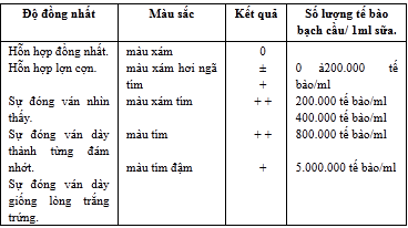 chẩn đoán viêm vú bò sữa