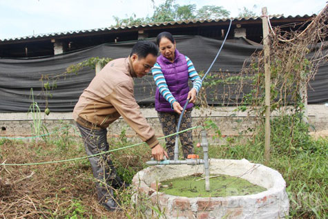 hầm biogas trong chăn nuôi - chăn nuôi