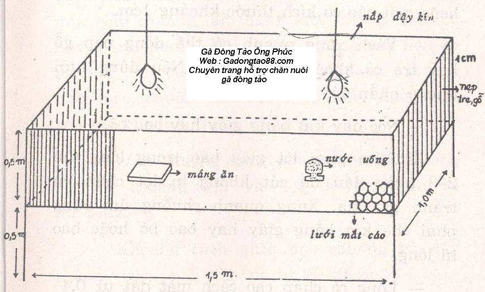 Chuồng úm gà đông tảo