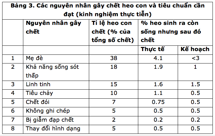 Nuôi nái đẻ thành công