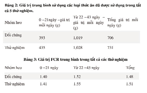 giá trị trung bình chỉ tiêu của lợn - chăn nuôi