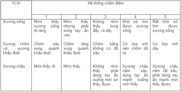 nuôi lợn nái sinh sản