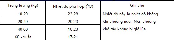 kĩ thuật nuôi lợn thịt