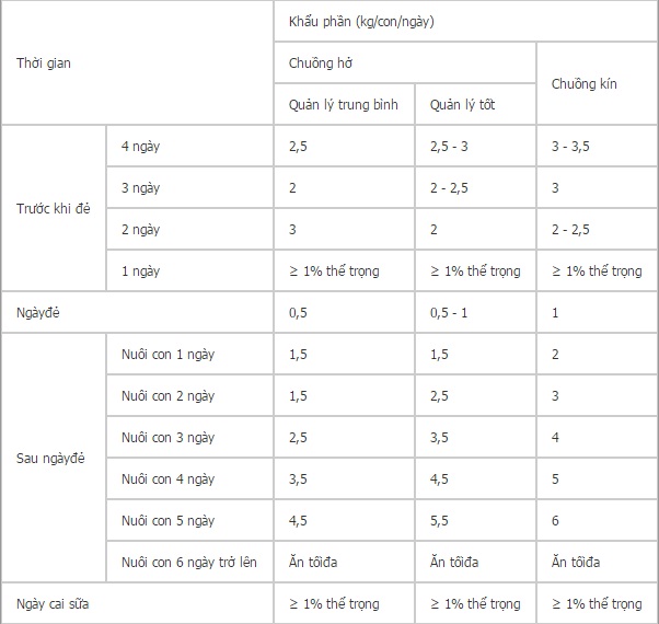 dinh dưỡng cho heo nái nuôi con