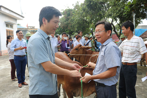 Trung tâm Khuyến nông Hà Nội trao tặng bò sinh sản các các hộ nghèo xã Đông Yên, huyện Quốc Oai tháng 8/2018