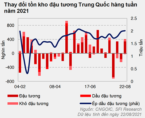 đậu tương trung quốc