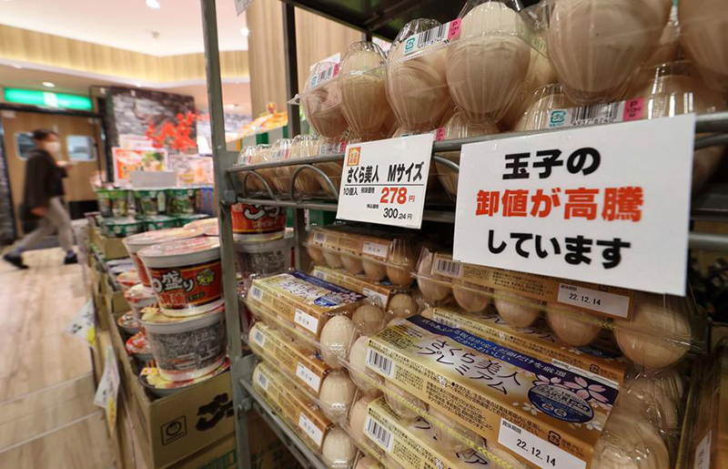 thiếu hụt trứng tại Nhật Bản