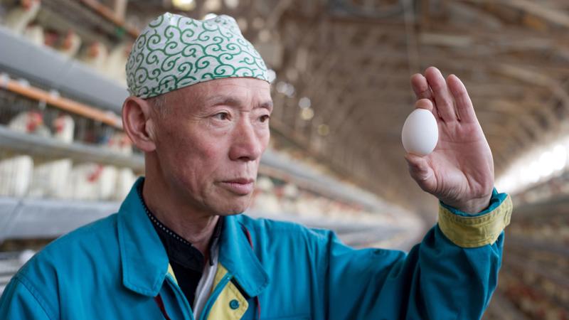 tiêu thụ trứng tại Nhật Bản