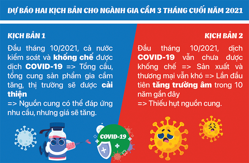 2 kịch bản chăn nuôi