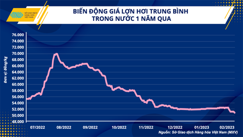 biến động giá heo 1 năm qua