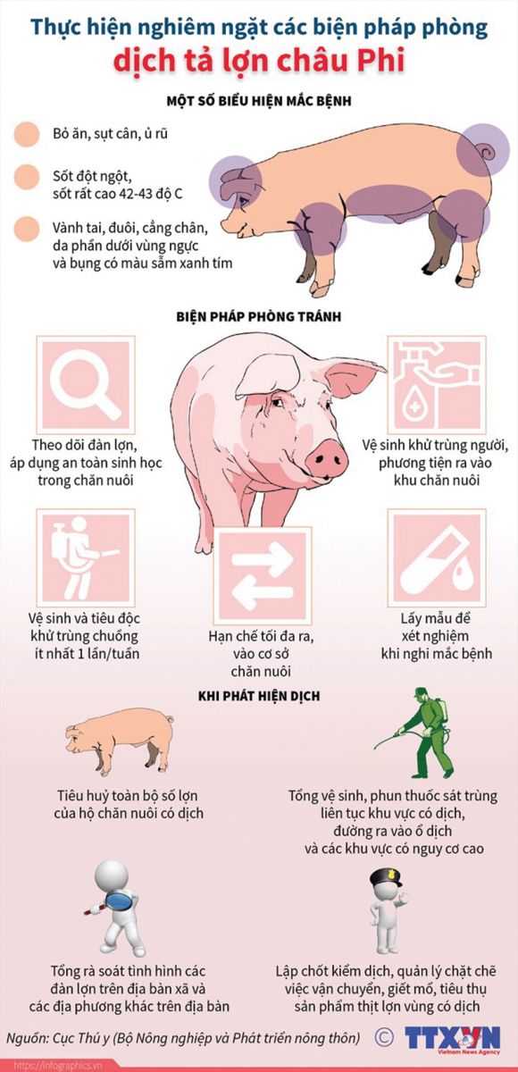 biện pháp phòng chống dịch tả lợn châu phi