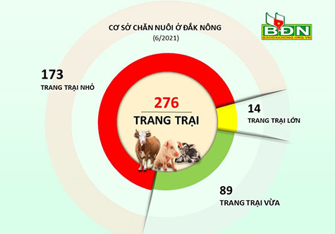 cơ sở chăn nuôi ở đắk nông