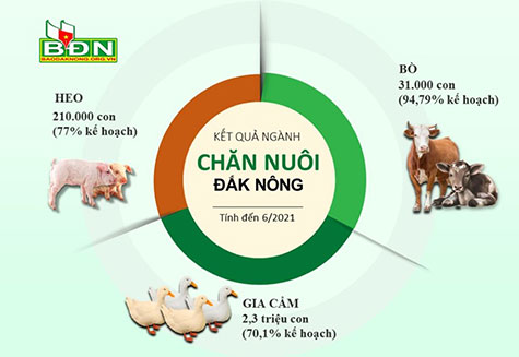 kết quả ngành chăn nuôi đắk nông