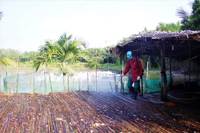 khử trùng chuồng nuôi