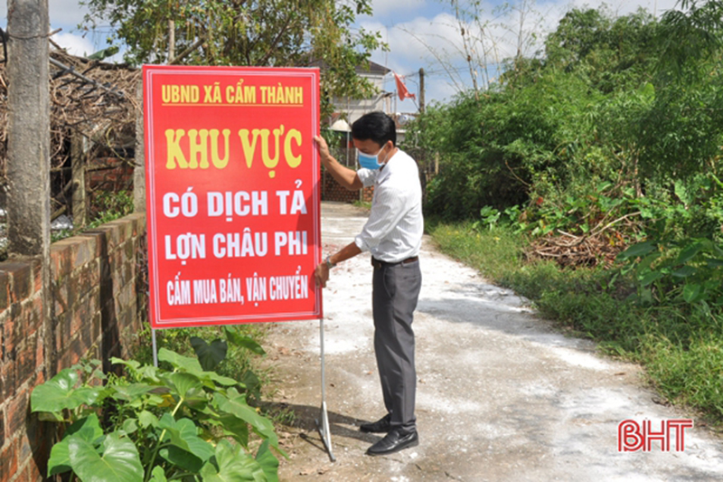 tả lợn châu phi