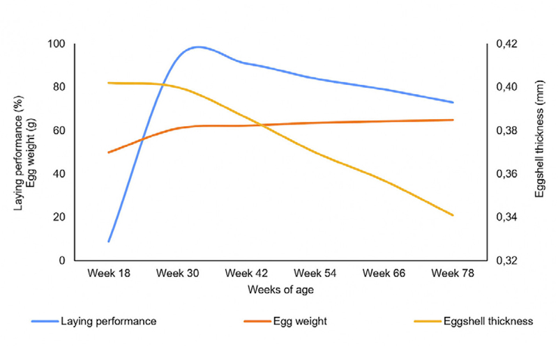 biểu đồ độ dày vỏ trứng trong chăn nuôi gà đẻ