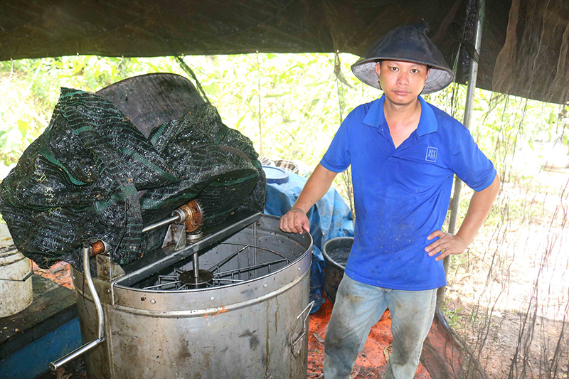 Mật ong rớt giá