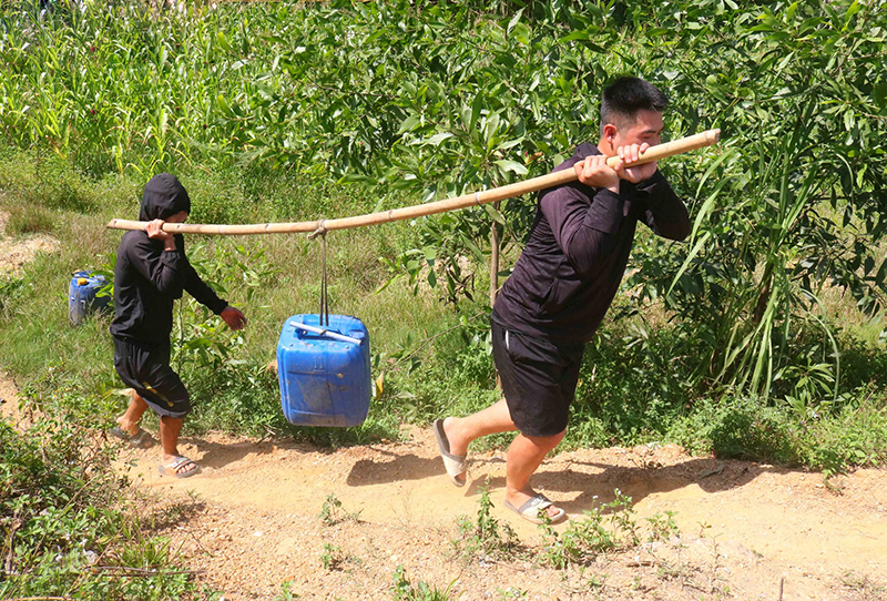 Mật ong rớt giá