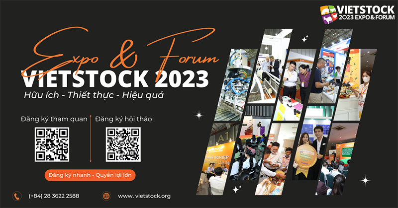 vietstock 2023