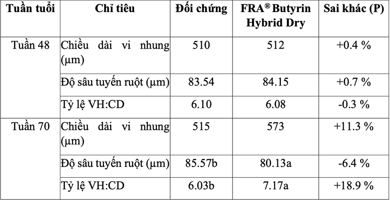 Ảnh hưởng của FRA® Butyrin Hybrid Dry đối với hình thái mô học của đoạn hồi tràng ruột non.