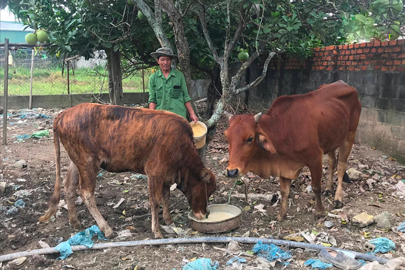 chăn nuôi liên kết