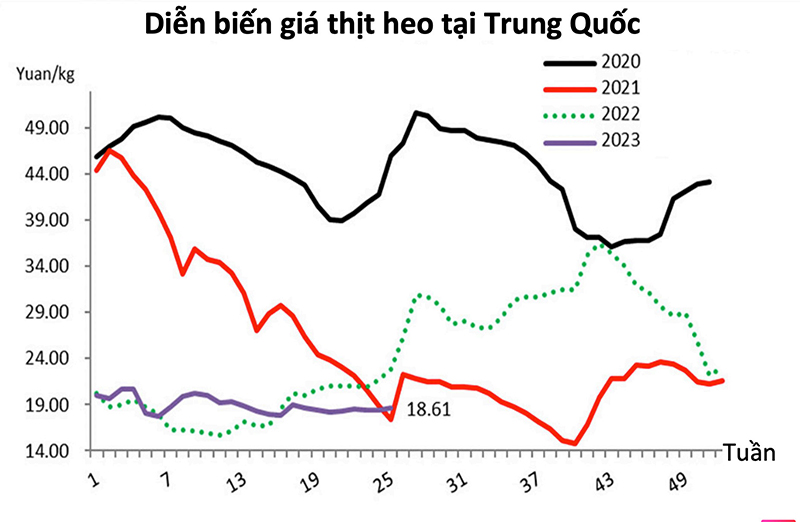 diễn biến giá thịt heo