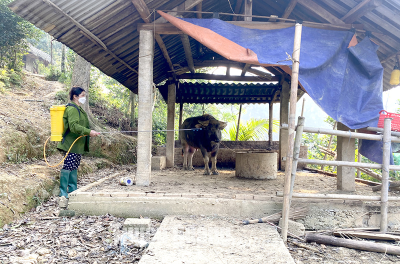 khử trùng môi trường chăn nuôi