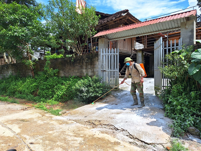 dịch tả lợn châu Phi