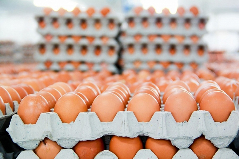 lệnh cấm nhập khẩu trứng