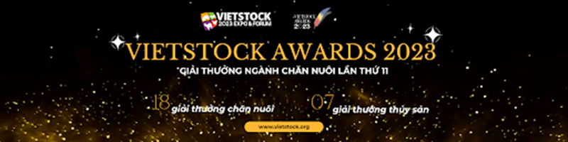 Vietstock awards