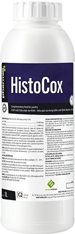 Histocox