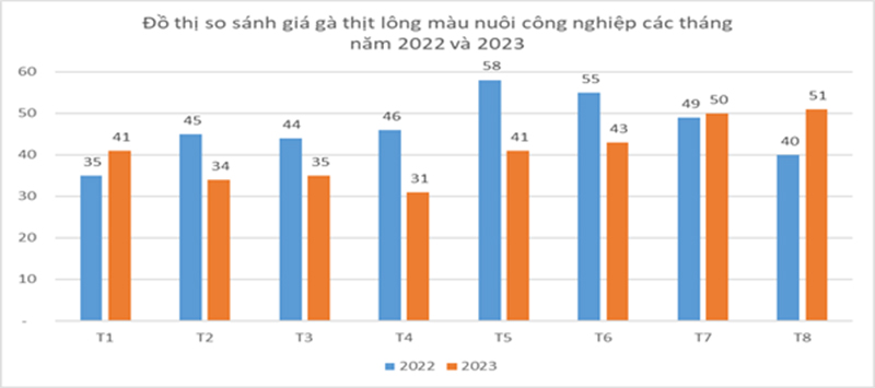 so sánh giá gà lông màu