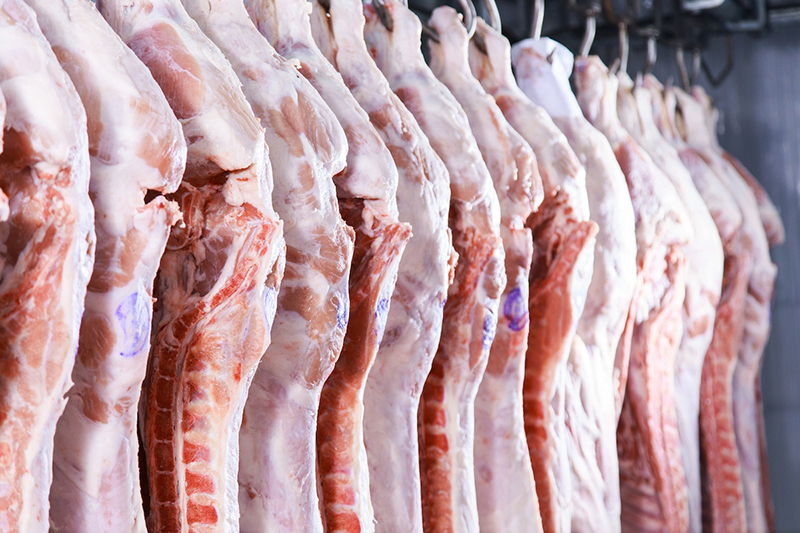 xuất khẩu thịt lợn