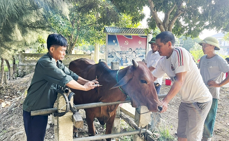 tiêm phòng gia súc, gia cầm