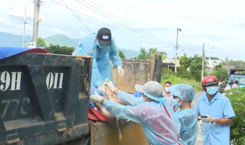 dịch tả heo Khánh Hòa