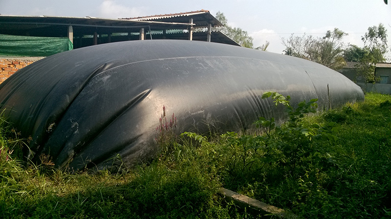 Hầm biogas