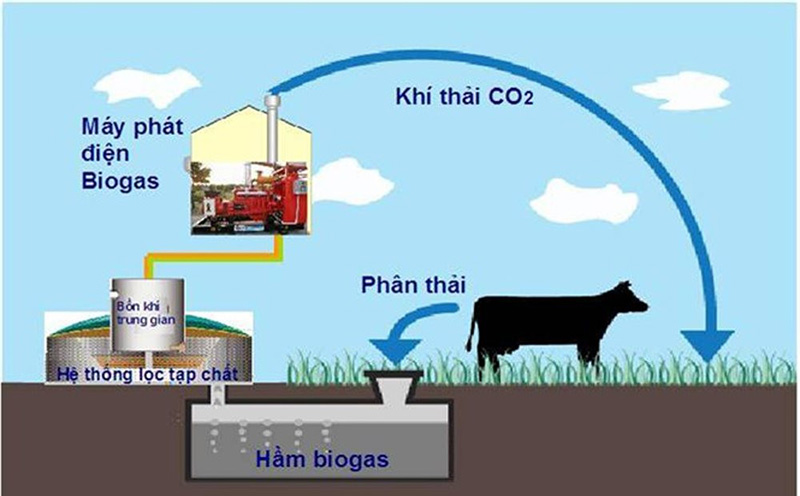 Mô hình sử dụng khí sinh học